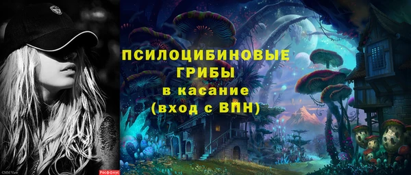 ECSTASY Верхний Тагил