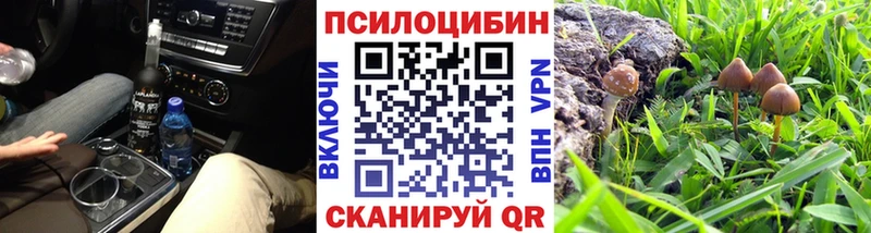 Псилоцибиновые грибы прущие грибы  купить закладку  Новый Оскол 